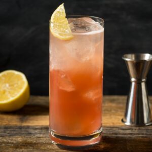 Sloe Gin Fizz